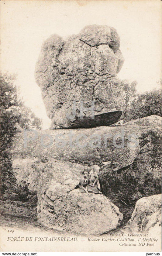 Foret de Fontainebleau - Rocher Cuvier Chatillon l'Aerolithe - 129 - old postcard - France - unused - JH Postcards