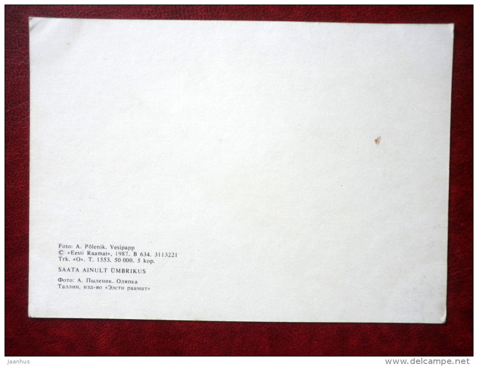 White-throated Dipper - Cinclus cinclus - birds - 1987 - Estonia - USSR - unused - JH Postcards