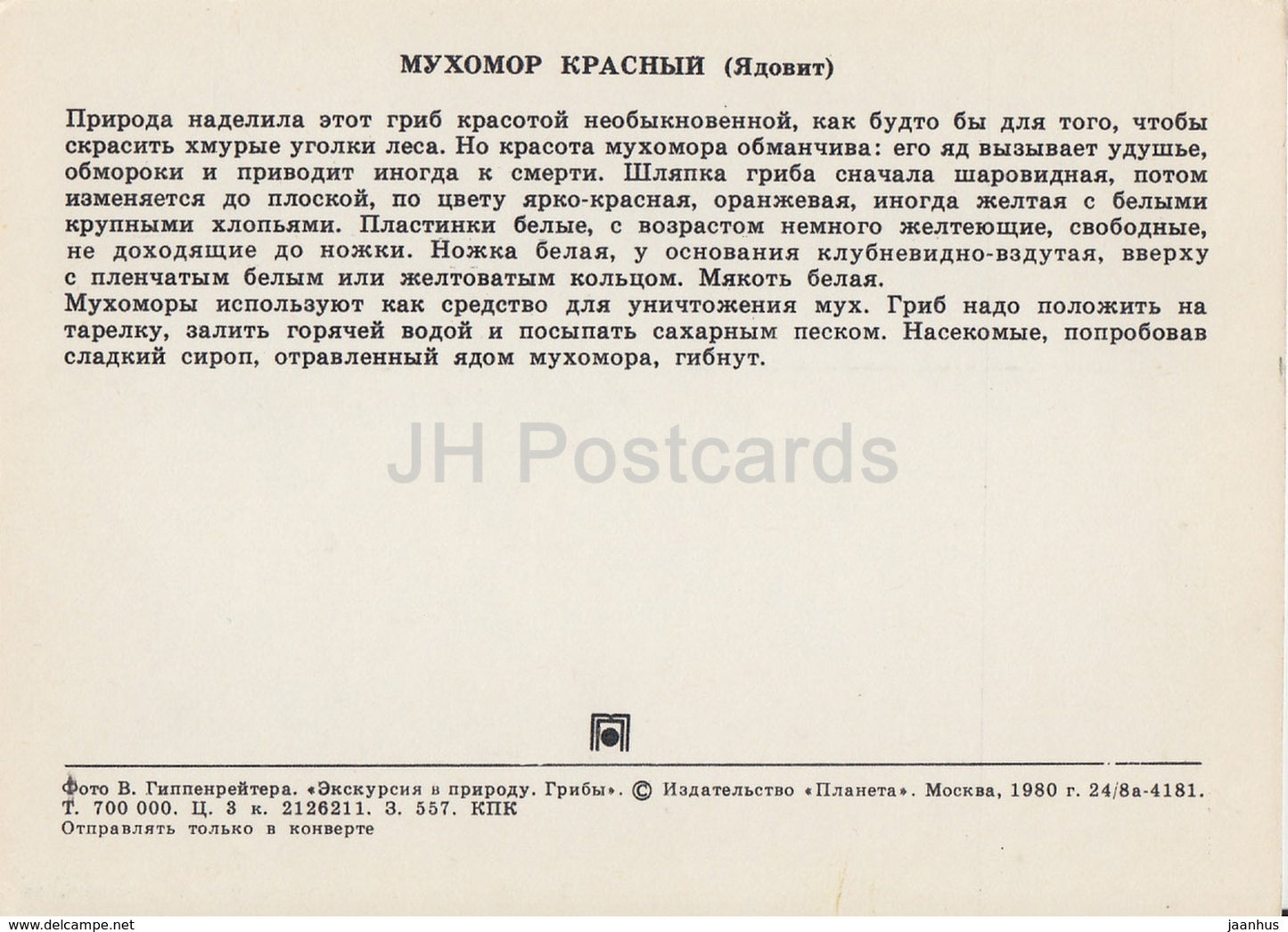 Fly agaric - Amanita muscaria - Mushrooms - 1980 - Russia USSR - unused - JH Postcards