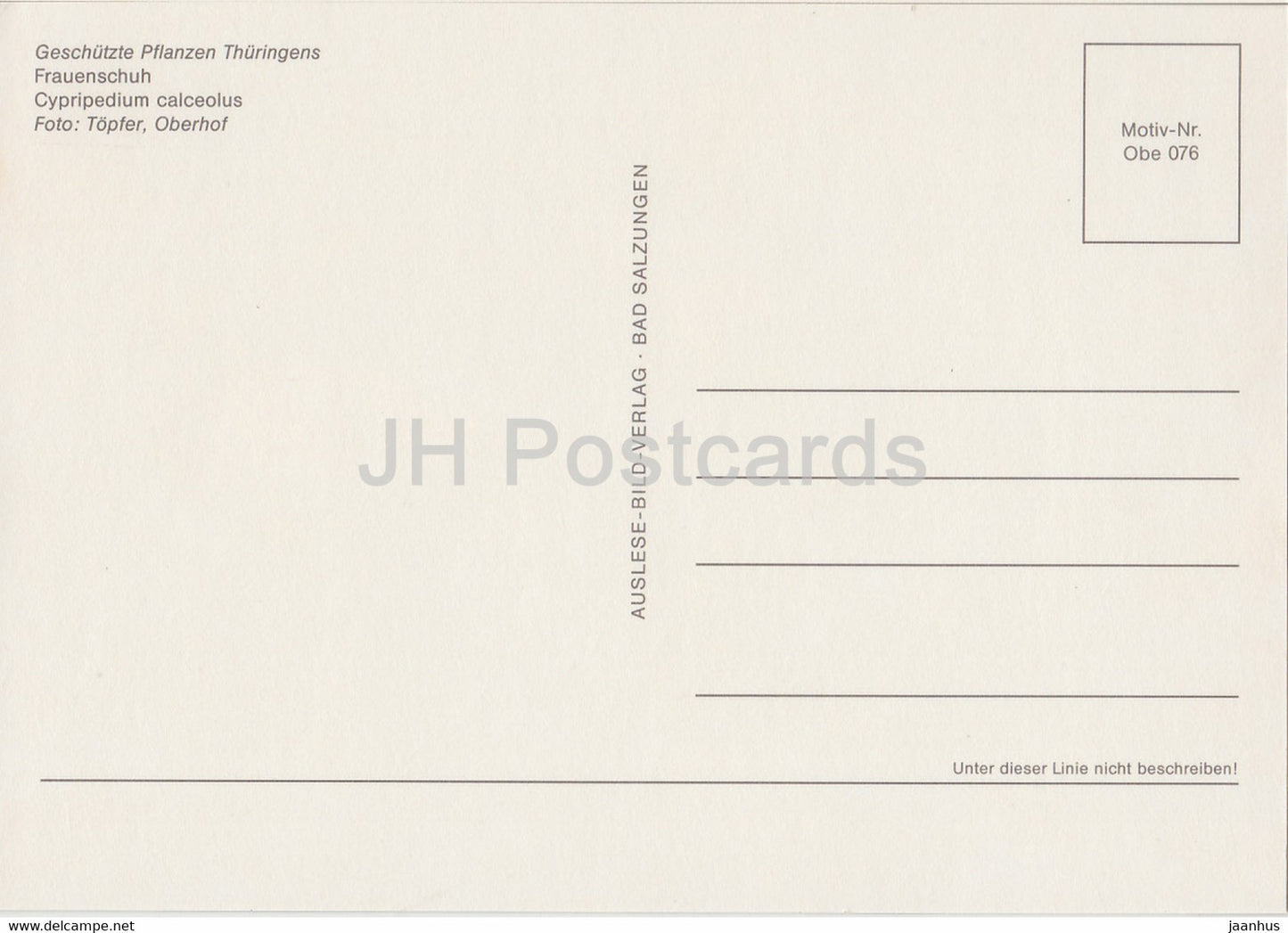 Lady's-slipper - Cypripedium calceolus - Geschutzte Pflanzen - Protected plants - DDR Germany - unused