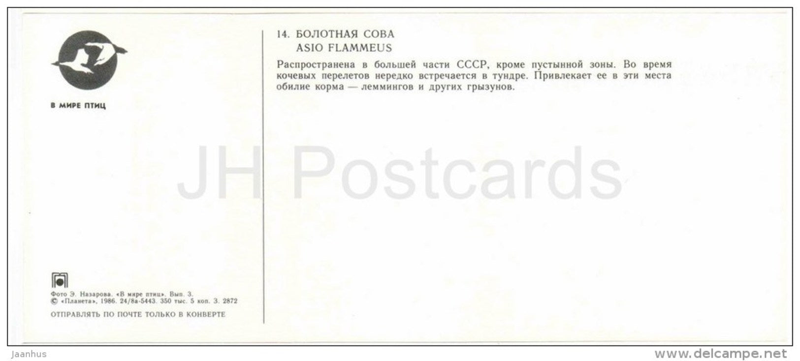 Short-eared owl , Asio flammeus - birds - 1986 - Russia USSR - unused - JH Postcards