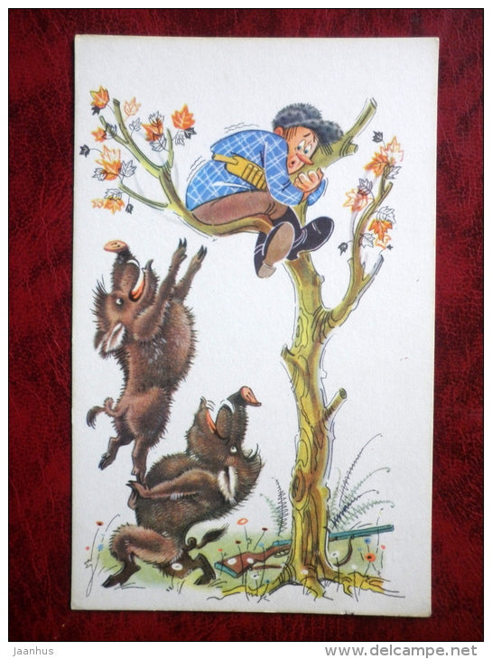 funny hunters and anglers by Orlov, Schwarz - wild boar - hunter - 1968 - Russia - USSR - unused - JH Postcards