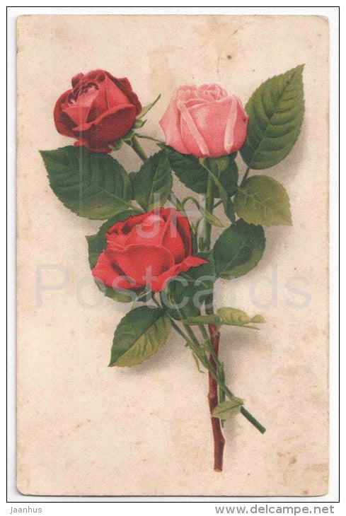 Greeting Card - Red and Pink Roses - flowers - WO 901 - old postcard - circulated in Estonia 1938 - JH Postcards