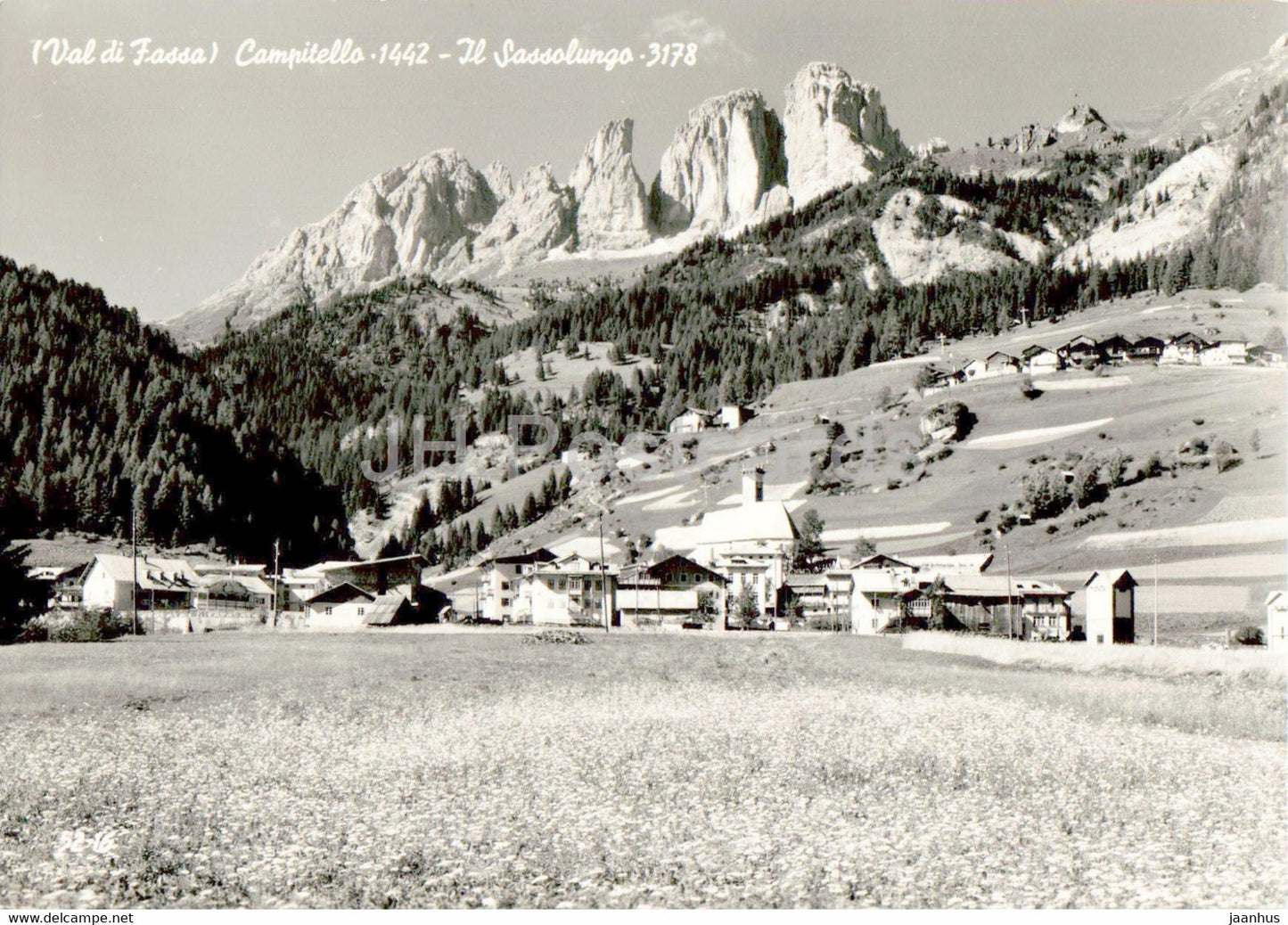 Val di Fassa - Campitello - Il Sasolungo 3178 - old postcard - Italy - unused - JH Postcards