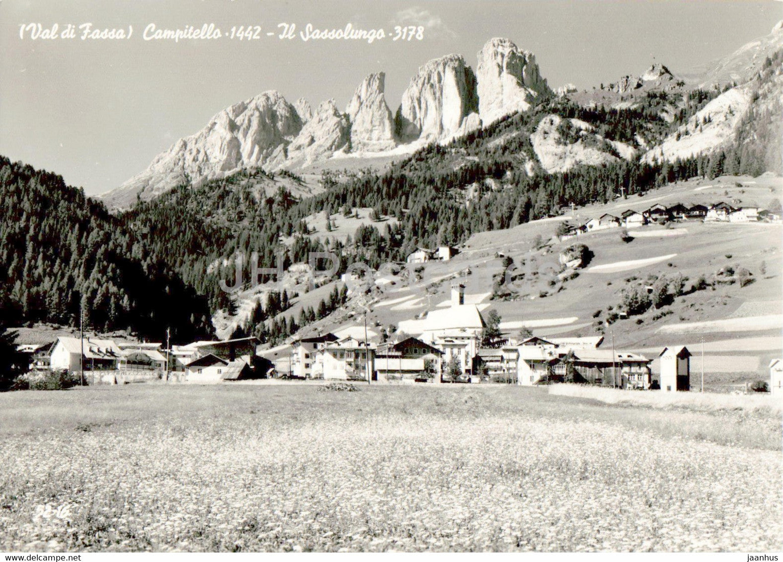 Val di Fassa - Campitello - Il Sasolungo 3178 - old postcard - Italy - unused - JH Postcards