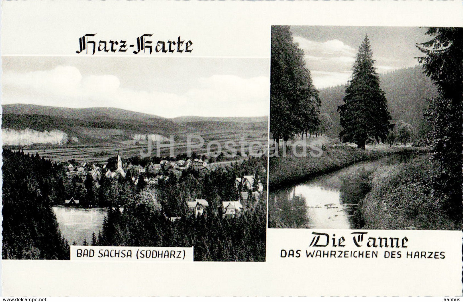 Harz Karte - Bad Sachsa - Die Tanne - Das Wahrzeichen des Harzes - old postcard - Germany - unused - JH Postcards
