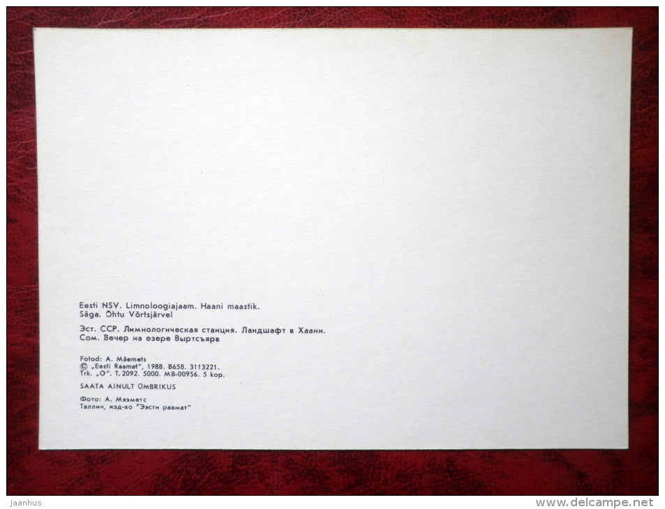 Lake Võrtsjärv - Limnology Station - Wels catfish - Silurus glanis - 1988 - Estonia - USSR - unused - JH Postcards