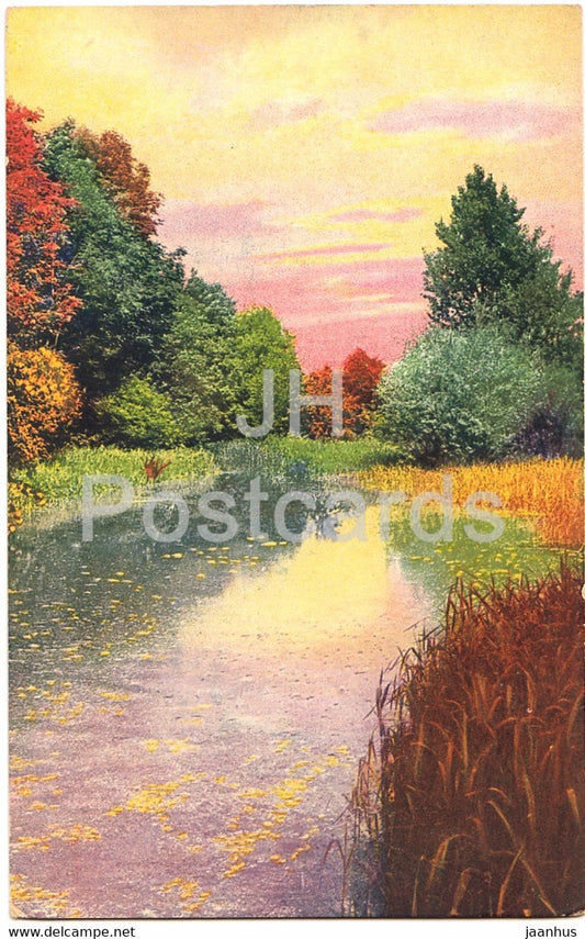 Nature - pond - NZG - Serie 96 - old postcard - Switzerland - unused - JH Postcards