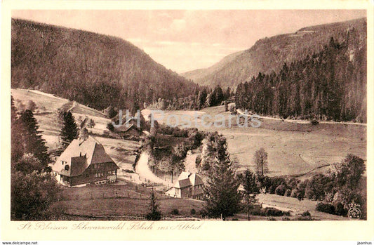St Blasien - Schwarzwald - Blick ins Albtal - 1254 - old postcard - Germany - unused - JH Postcards