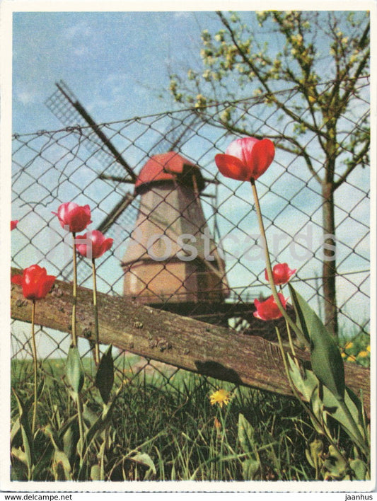 Muhle Grafinghausen - Der Feine Kaffee direkt aus Bremen - Eduscho - windmill - old postcard - Germany - unused - JH Postcards
