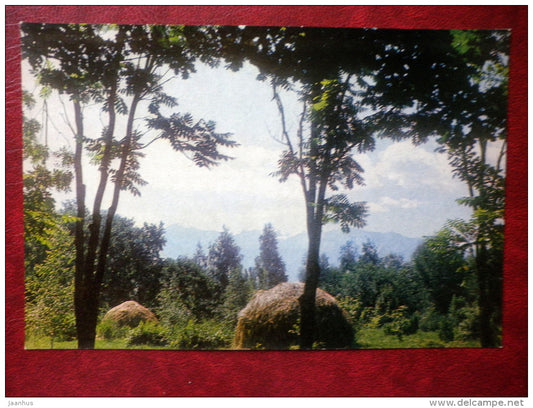 recreation Area - Almaty - Alma-Ata - 1974 - Kazakhstan USSR - unused - JH Postcards