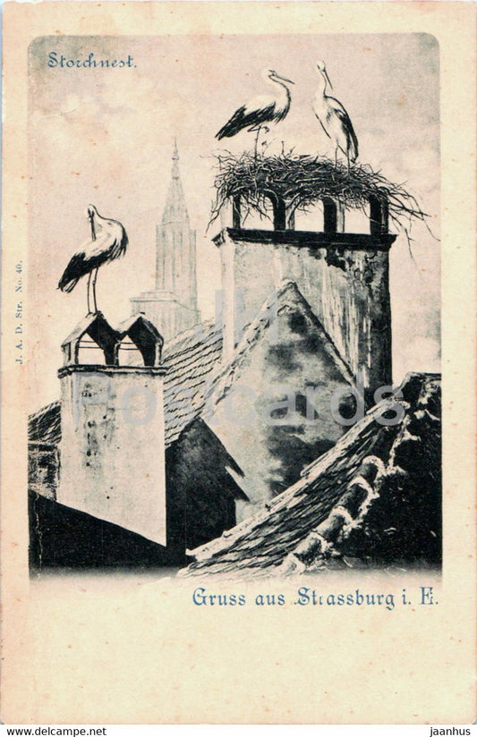 Gruss aus Strassburg i E - Strasbourg - Storchnest - birds - stork - old postcard - France - unused - JH Postcards