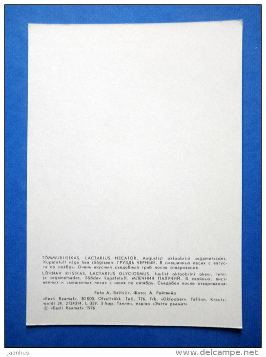 Lactarius necator - Coconut Scented Milk Cap - Lactarius glyciosmus - mushrooms - 1976 - Estonia USSR - unused - JH Postcards