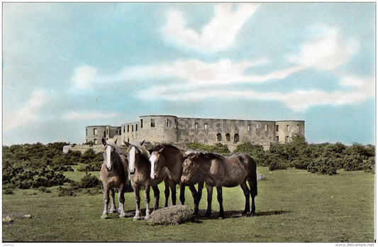 Borgholm - Slottsruinen - castle ruins - horses - Sweden - unused - JH Postcards