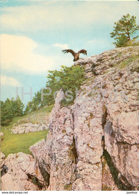 vulture in the mountains - birds - Crimea Nature Reserve - 1969 - Ukraine USSR -  unused - JH Postcards