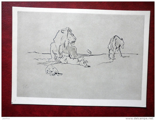 drawing by V. Serov - Lion and Wolf - illustration of the fable Serov - russian art - unused - JH Postcards