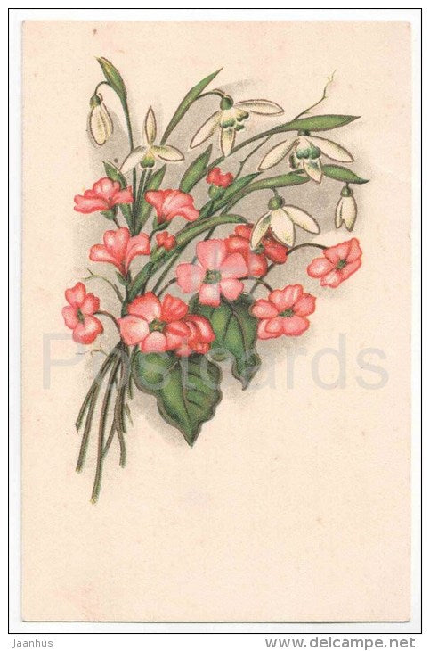 Greeting Card - snowdrop - flowers - KJ Tartu 5 - old postcard - circulated in Estonia - JH Postcards