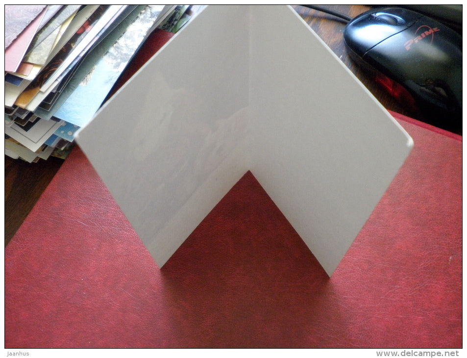 New Year Greeting card - dwarf - dog - binoculars - 1983 - Estonia USSR - unused - JH Postcards