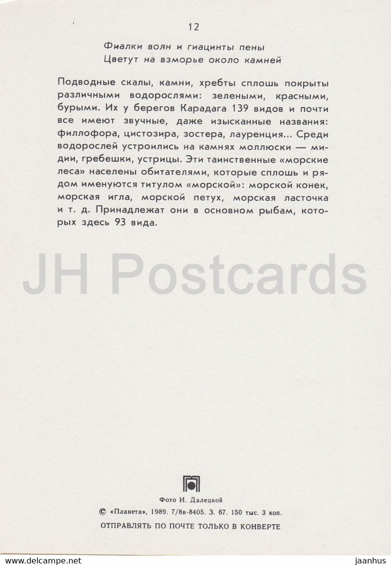 Karadag - rochers - 3 - Crimée - 1989 - Ukraine URSS - inutilisé