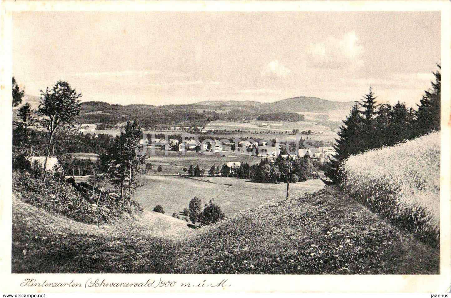 Hinterzarten - Schwarzwald - 900 m - old postcard - 1932 - Germany - used - JH Postcards