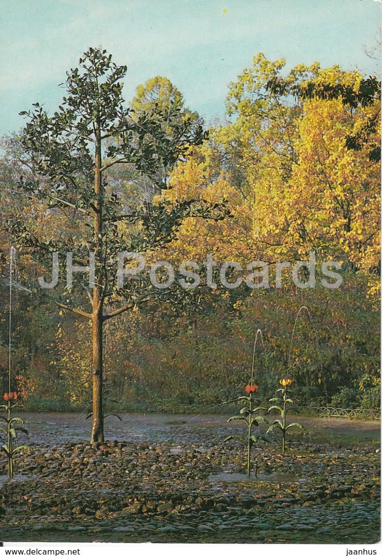 Petrodvorets - The Oak and Tulips trick fountains - fountains - 1983 - Russia USSR - unused - JH Postcards