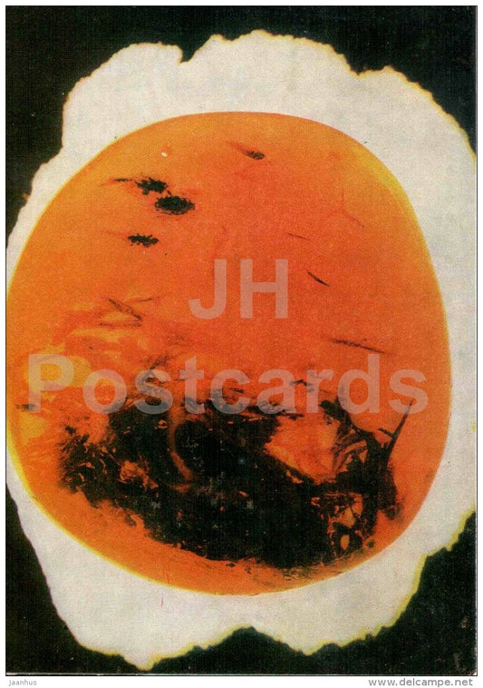 Piece of Amber with Inclusions - Amber - Gintaras - 1973 - Lithuania USSR - unused - JH Postcards