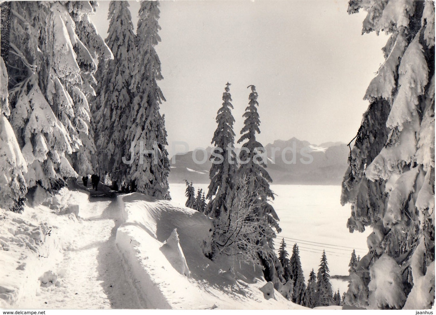 Rigi Kaltbad 1440 m am Kanzeliweg - 1968 - Switzerland - used - JH Postcards
