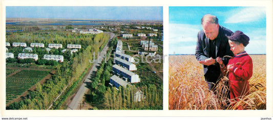 village of scientists - academic Barayev - 1976 - Kazakhstan USSR - unused - JH Postcards