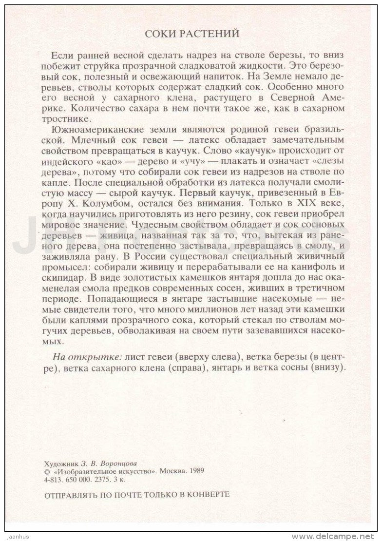 pine - amber - sugar maple - birch - sharinga tree - Juices of the Trees - Amazing Plants - 1989 - Russia USSR - unused - JH Postcards