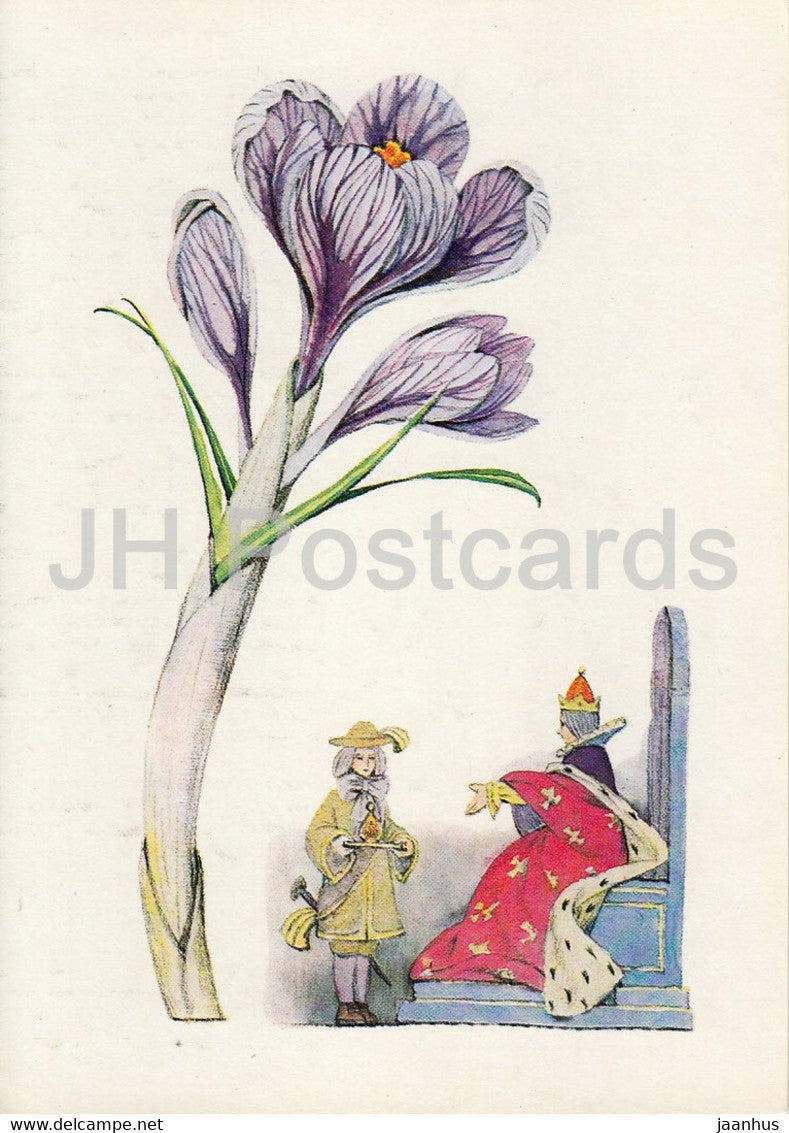 Saffron - Spice Plants - 1986 - Russia USSR - unused - JH Postcards
