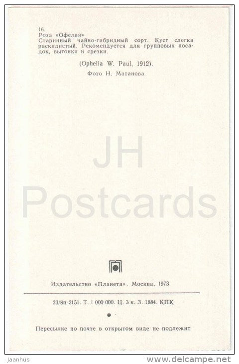 Ophelia - flowers - Roses - Russia USSR - 1973 - unused - JH Postcards