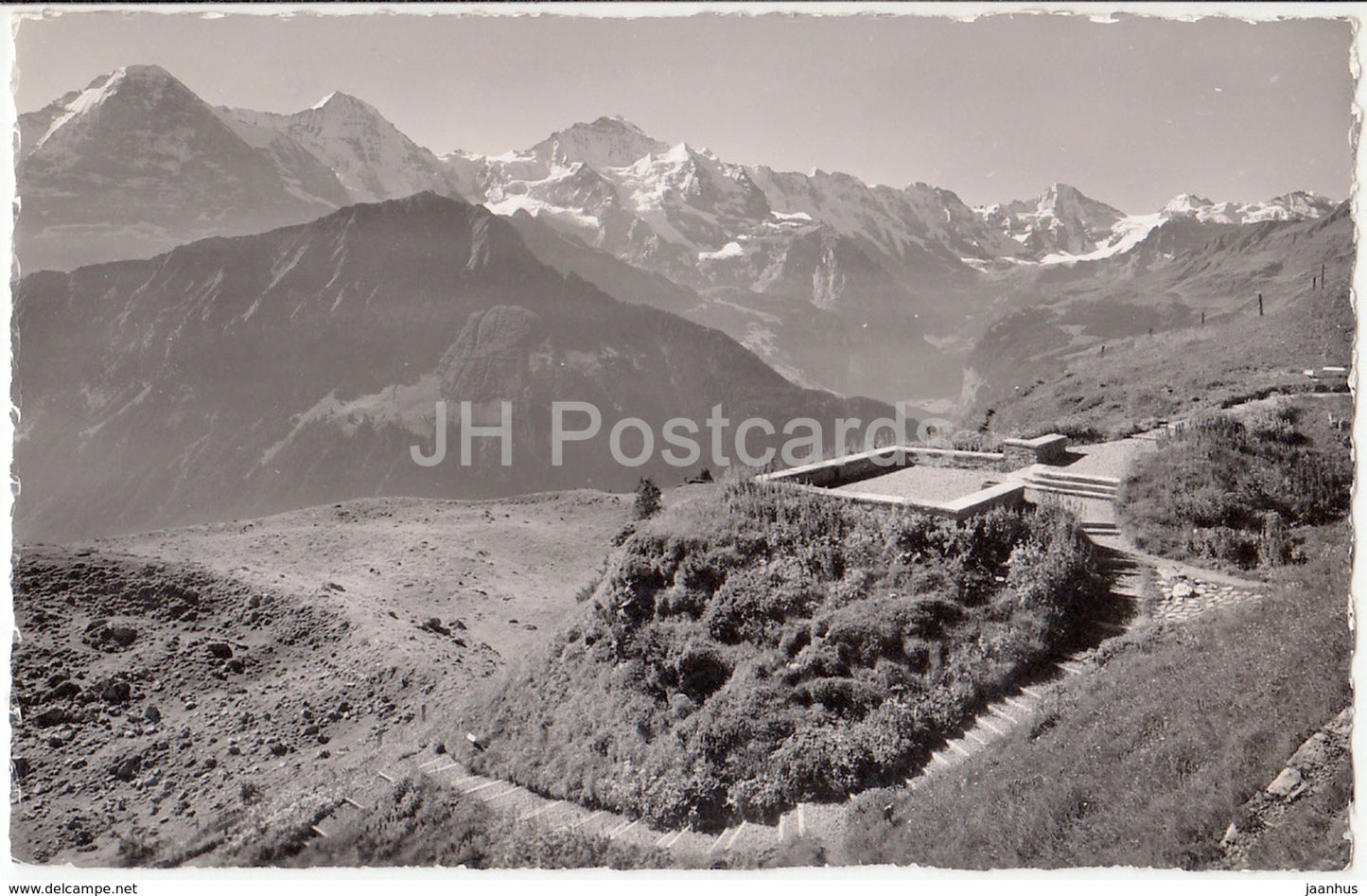 Alpengarten Schynige Platte - Eiger - Monch - Jungfrau - Breithorn - Tschingelhorn - 12477 - Switzerland - 1951 - used - JH Postcards
