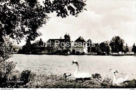 Schloss Seeon - swan - birds - castle - old postcard - 1959 - Germany - used - JH Postcards