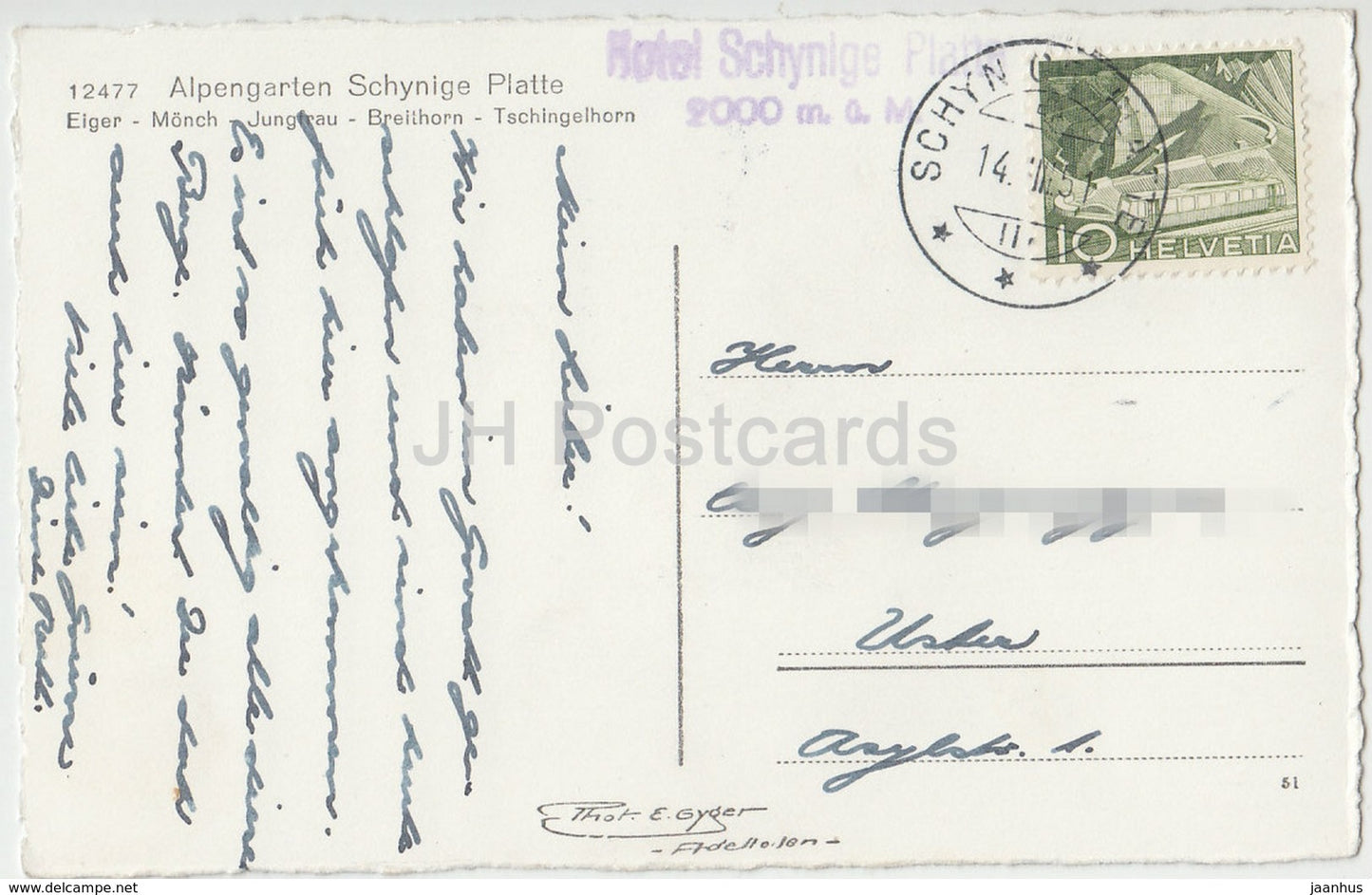 Alpengarten Schynige Platte - Eiger - Monch - Jungfrau - Breithorn - Tschingelhorn - 12477 - Switzerland - 1951 - used