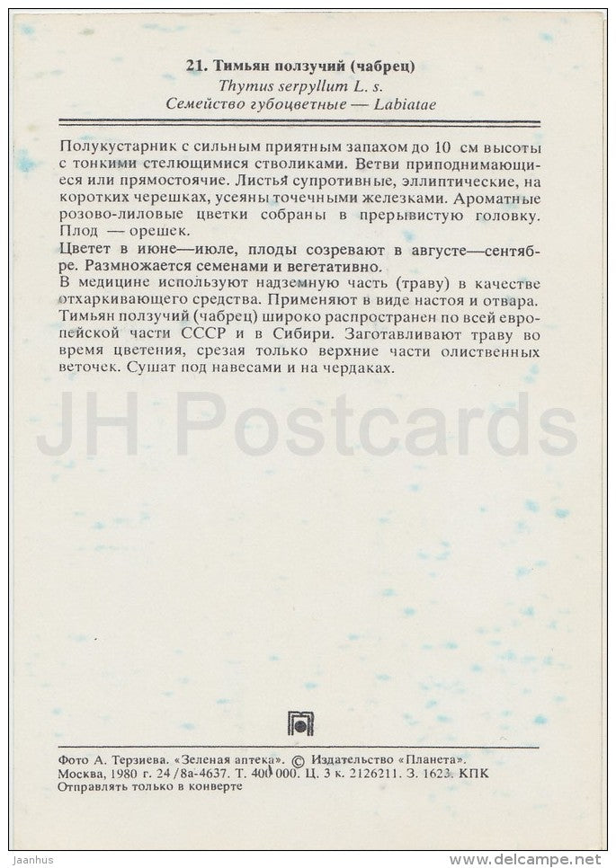 Breckland thyme - Thymus serpyllum - Medicinal Plants - Herbs - 1980 - Russia USSR - unused - JH Postcards