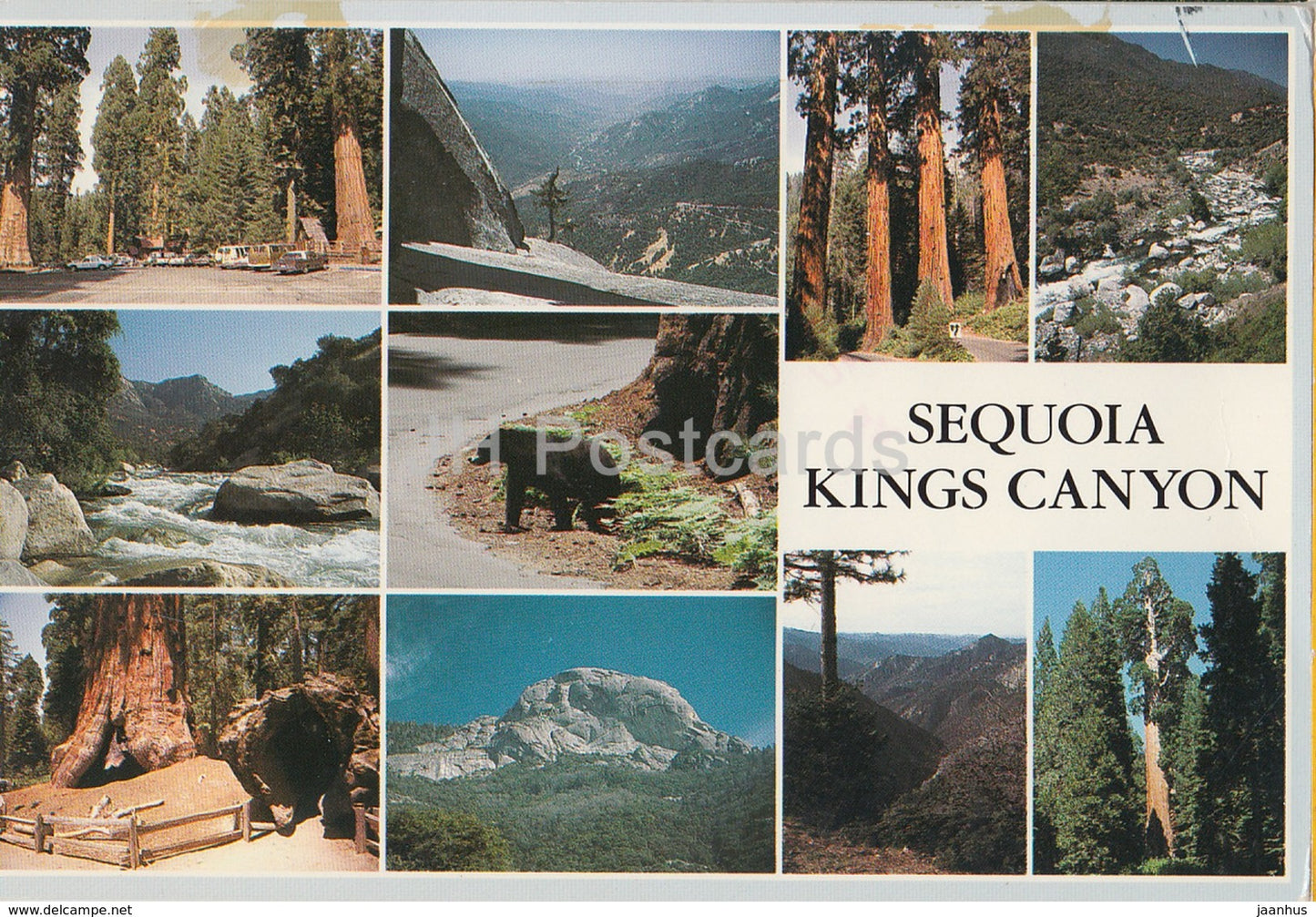 Sequoia and Kings Canyon National Parks - 1988 - USA - used - JH Postcards