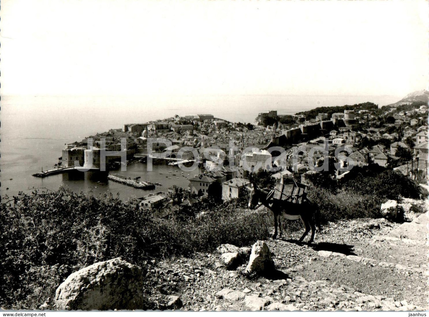 Dubrovnik - Panorama od Bosanke - donkey - animal - 2108 - old postcard - 1959 - Yugoslavia - Croatia - used - JH Postcards