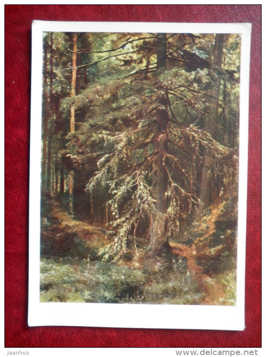 painting by I. Shishkin , A fir-tree - forest -russian art - unused - JH Postcards