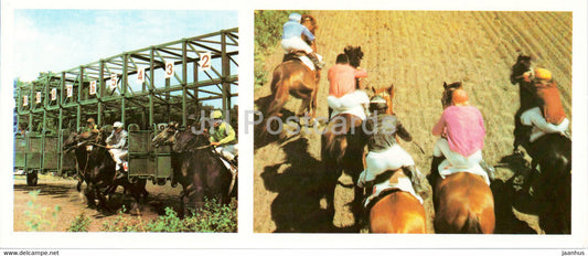 Pyatigorsk - Equestrian festival - horse race - 1983 - Russia USSR - unused - JH Postcards