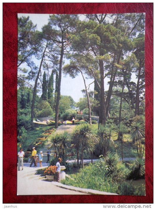 park Southern Cultures - Sochi - palms - trees - 1981 - Russia - USSR - unused - JH Postcards