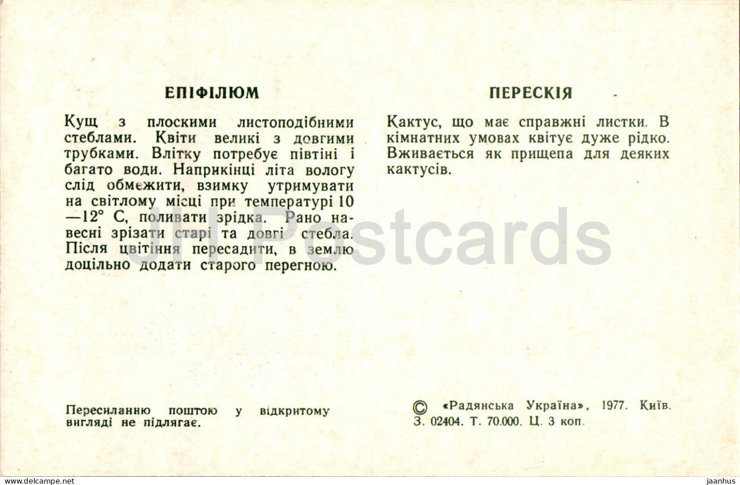 Pereskia - Epiphyllum - cacti - cactus - flowers - 1977 - Ukraine USSR - unused