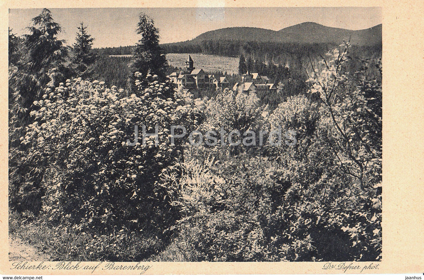 Schierke - Blick auf Barenberg - 172 - old postcard - Germany - unused - JH Postcards