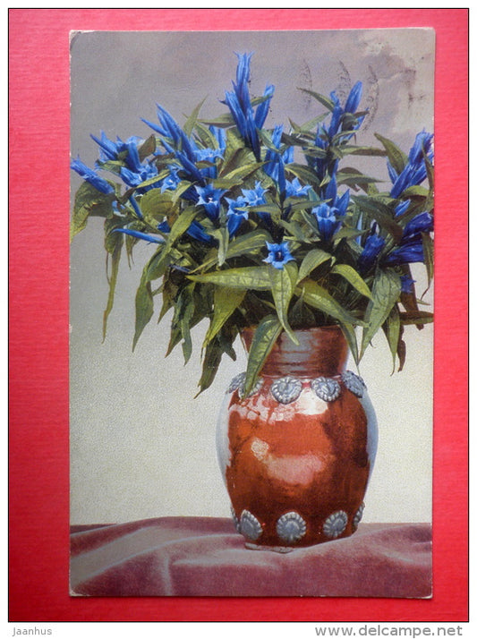 photograph - flowers in the vase - Photochromie - Serie 503 Nr 724 - circulated in Imperial Russia St. Petersburg 1911 - JH Postcards