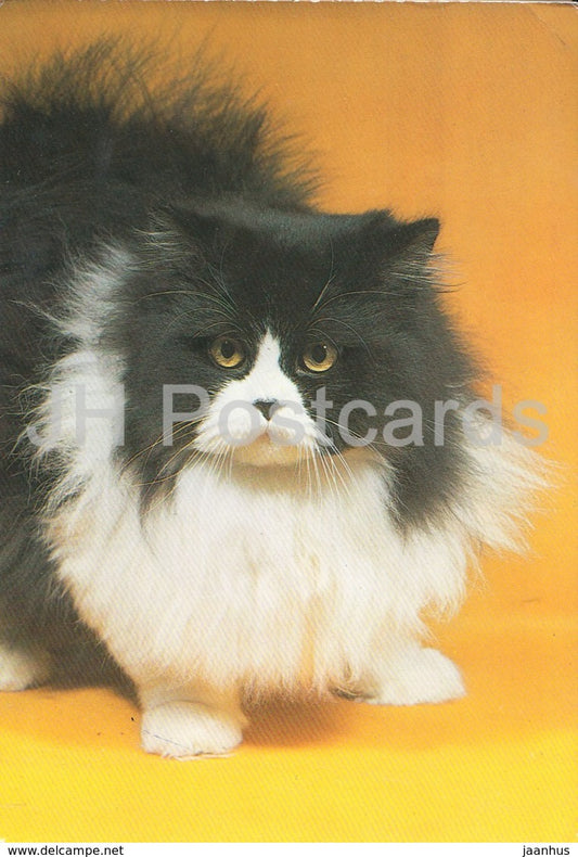 Perser bicolor - Persian cat - old car - 1982 - Switzerland - used - JH Postcards