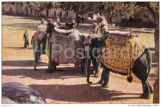elephants - 1968 - India - unused - JH Postcards