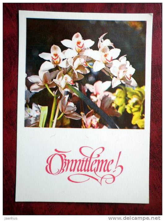 greeting card - flowers - orchids - 1982 - Estonia - USSR - unused - JH Postcards