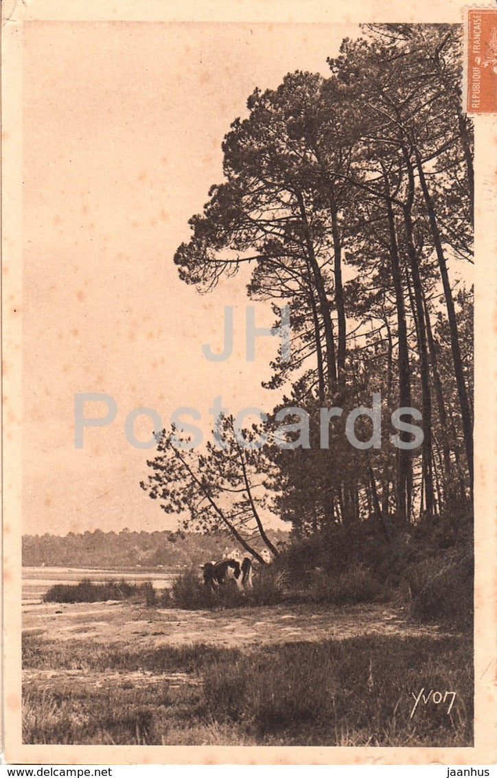 Un des plus jolis coins de l'Etang d'Hossegor a Cap Breton - 22 - old postcard - 1927 - France - used - JH Postcards