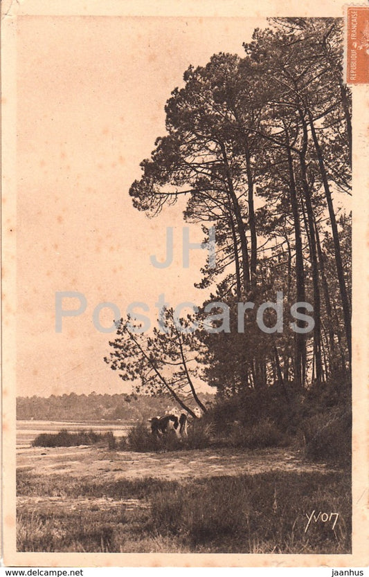 Un des plus jolis coins de l'Etang d'Hossegor a Cap Breton - 22 - old postcard - 1927 - France - used - JH Postcards