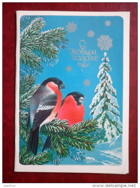 New Year greeting card - illustration by Y. Kosorukov - bullfinch - birds - 1986 - Russia USSR - used - JH Postcards