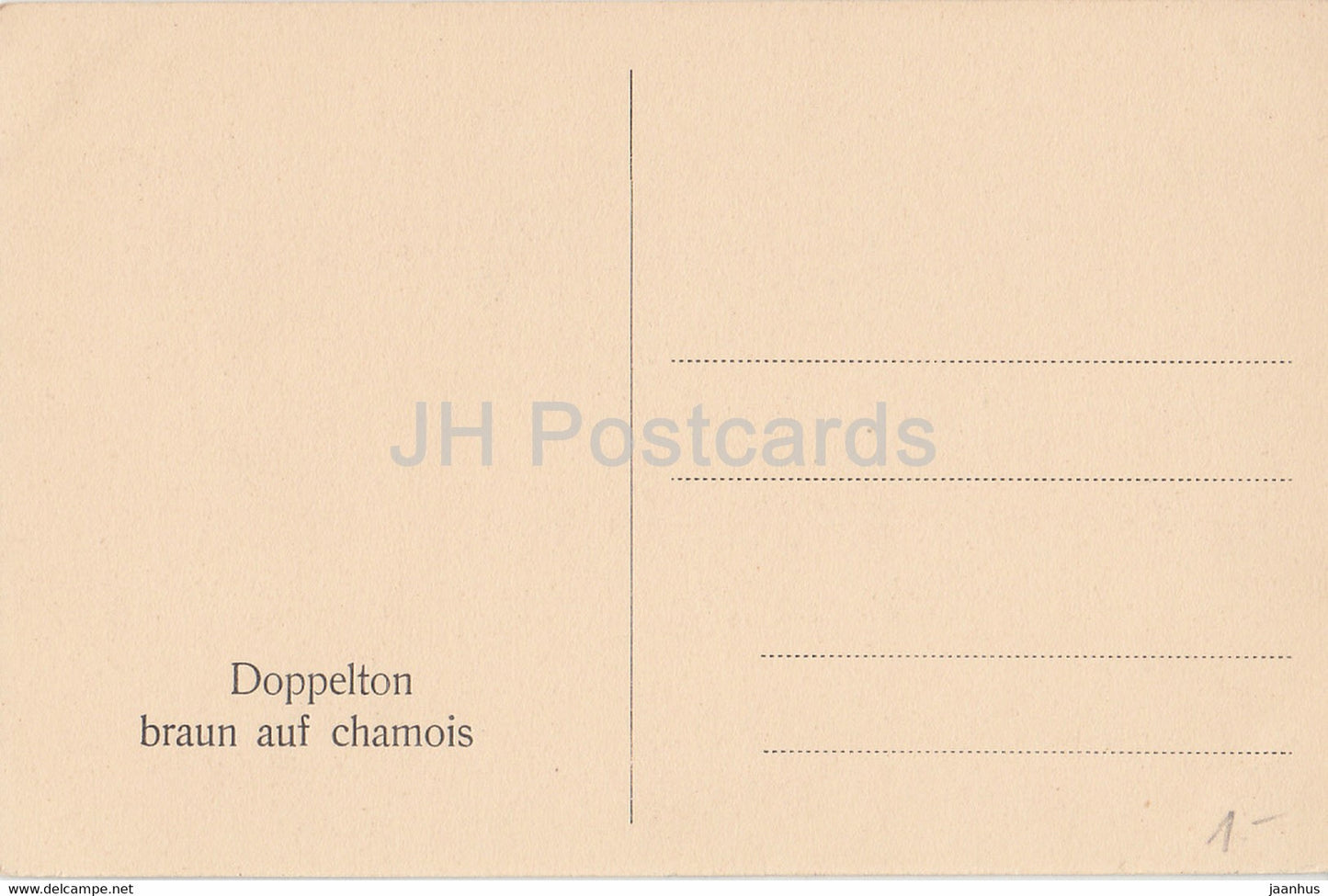 Roma - Rom - Doppelton braun auf chamois - alte Postkarte - Italien - unbenutzt